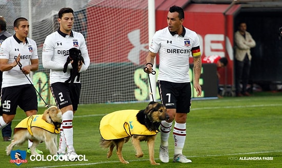 Şili’de Futbolcular Sahaya Sahipsiz Köpeklerle Çıktı