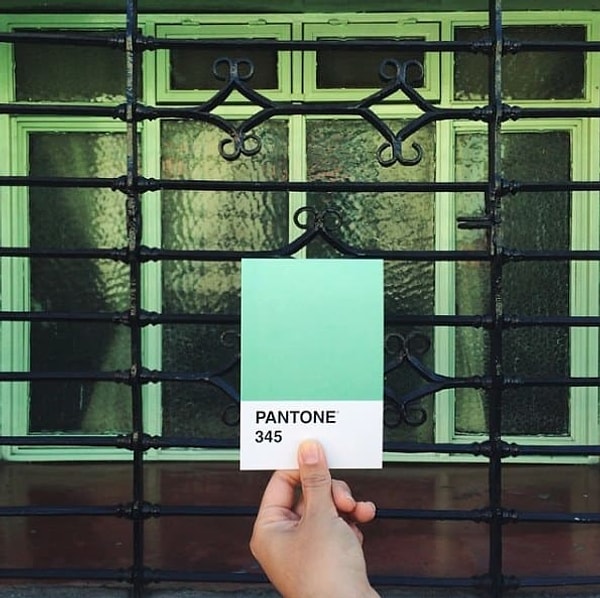 Вам подходит цвет Pantone 345