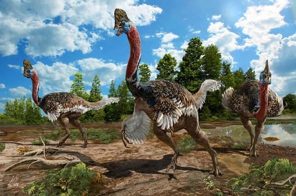 17. 'Corythoraptor jacobsi' adında yeni keşfedilen bir dinozorun kafatasında ibiği bulunuyor.