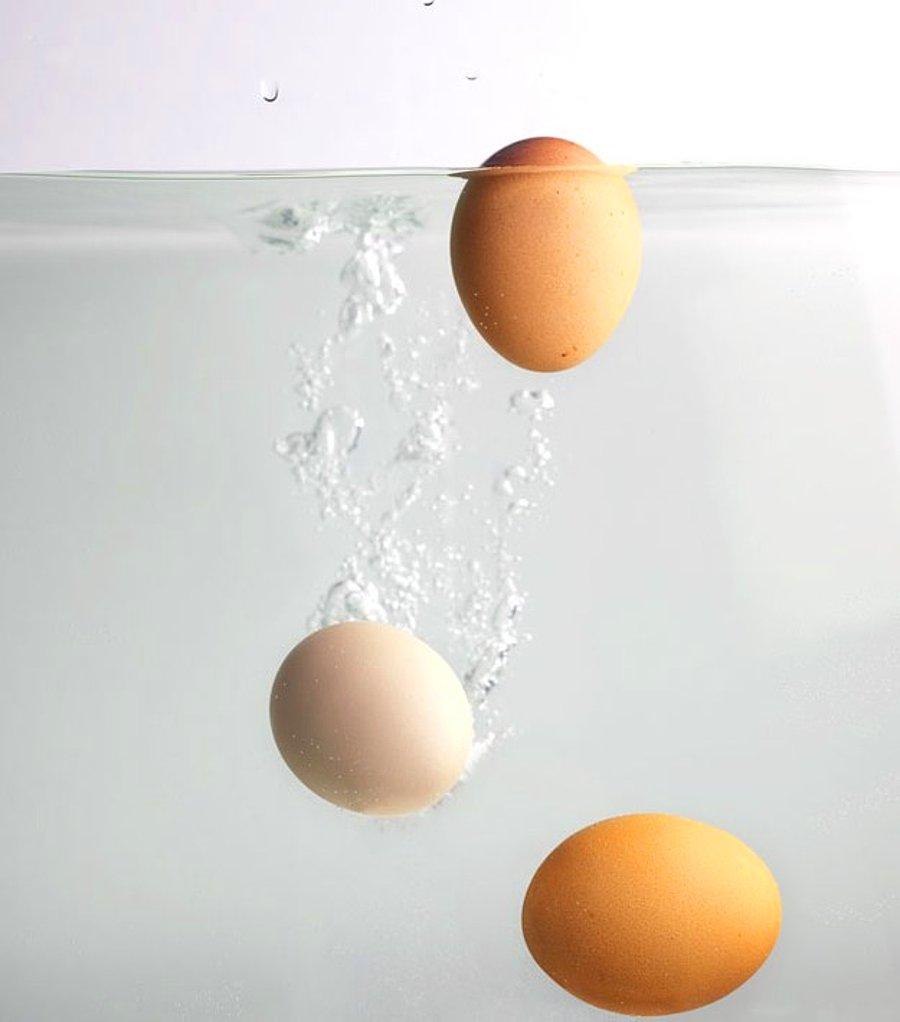 Яйца всплывают в воде можно ли. Яйцо в воде. Свежее яйцо. Плавающее яйцо. Водяные яйца.