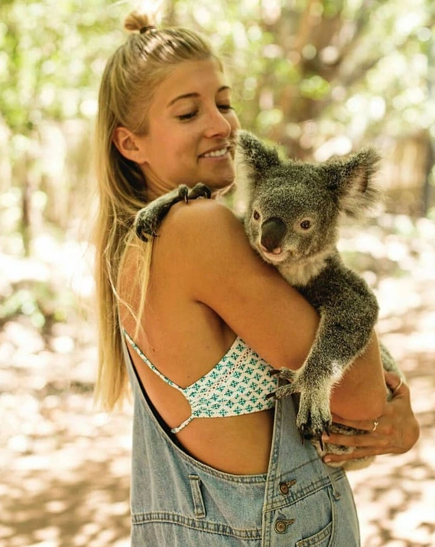 Hesapsızca sarılan koalalar 🐨