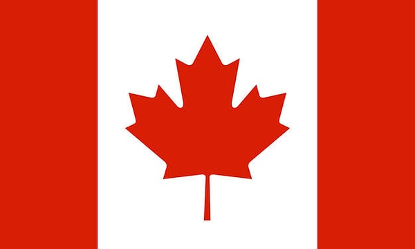 9. Это флаг...