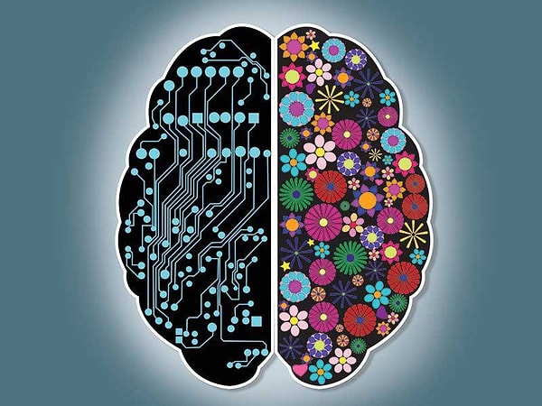 11. Даже люди, занимающиеся нейронаукой, верят в некоторые мифы о мозге.