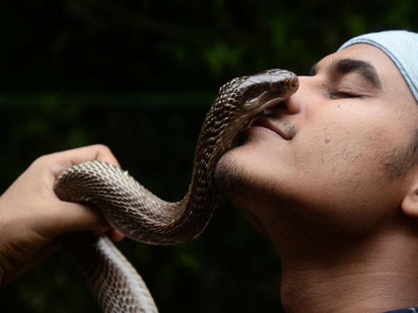 У вас зрение змеи!