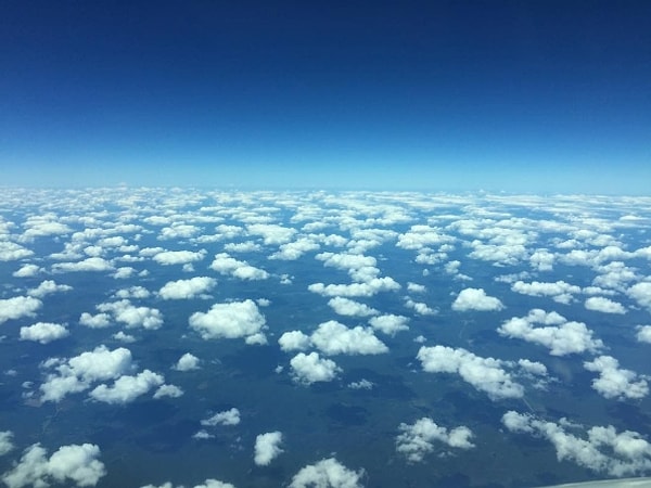 8. Дивья обожает свою работу.