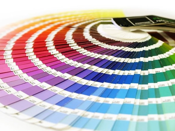 3. Выберите цвет: