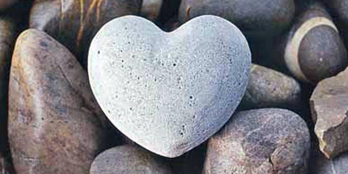 Senin Kalbin Hangi Maddeden Yapılmış?