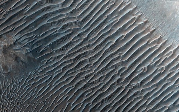 4. Как думаете, откуда?