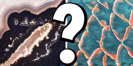 Тест: то, что на фото, находится на Земле или в космосе?