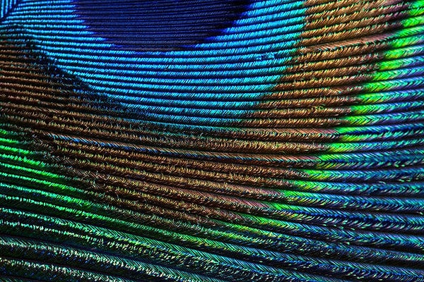 15. И последнее: