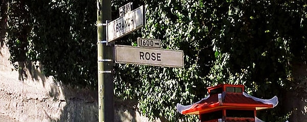 16. После аварии королева посвящает водителя троллейбуса и полицейского в рыцари женовийского "Ордена Розы". Что она использует вместо шпаги, чтобы сделать это?