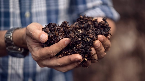 3. HuskeeCup, а именно так называются такие чашки, изготавливаются из шелухи кофейных зерен