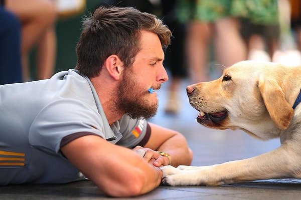 Вы разговариваете с собакой детским голосом