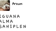 Sosyal Medya Duyarını Biraz Abartıp Komik Duruma Düşmüş 15 Kişi