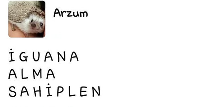 Sosyal Medya Duyarını Biraz Abartıp Komik Duruma Düşmüş 15 Kişi