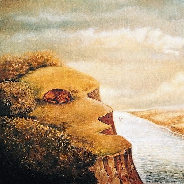 5. Что сразу увидели здесь?