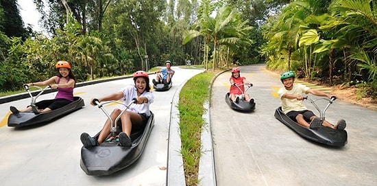 Yeni Zelanda'da Olmak Vardı Dedirtecek, İzlemesi Aşırı Keyifli Yarış!