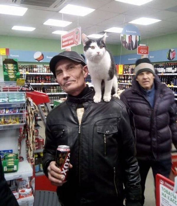 22. Что вы знаете о дружбе?