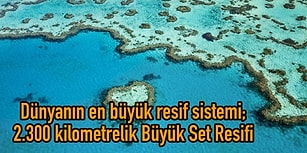 Her Şeyi Değil, Banka Hesabını Geride Bırakıp Avustralya'ya Gitmek İçin 19 İlginç Sebep