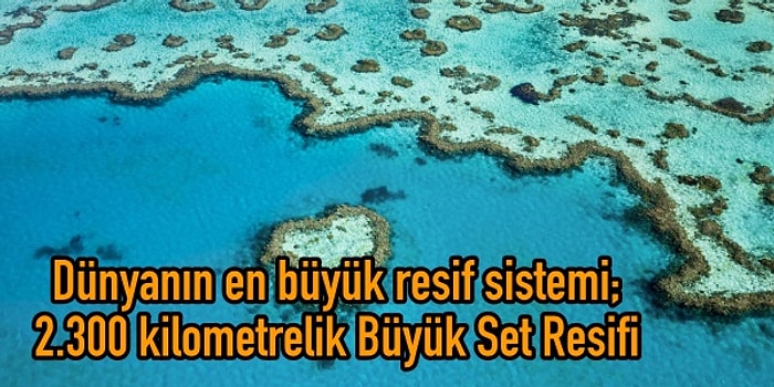 Her Şeyi Değil, Banka Hesabını Geride Bırakıp Avustralya'ya Gitmek İçin 19 İlginç Sebep