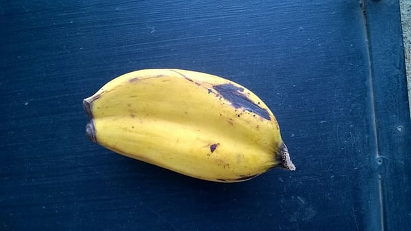 5. Снаружи он выглядит ещё более пугающим...