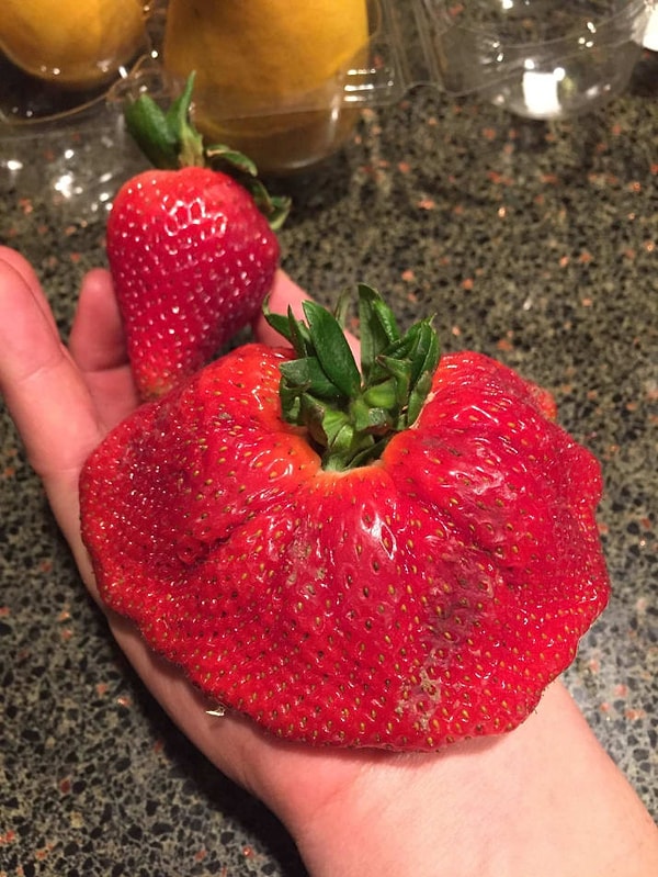 9. Что это с ней??? 🍓