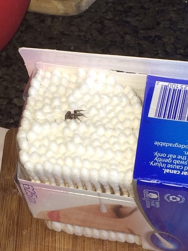 5. А как вам такой сюрприз?