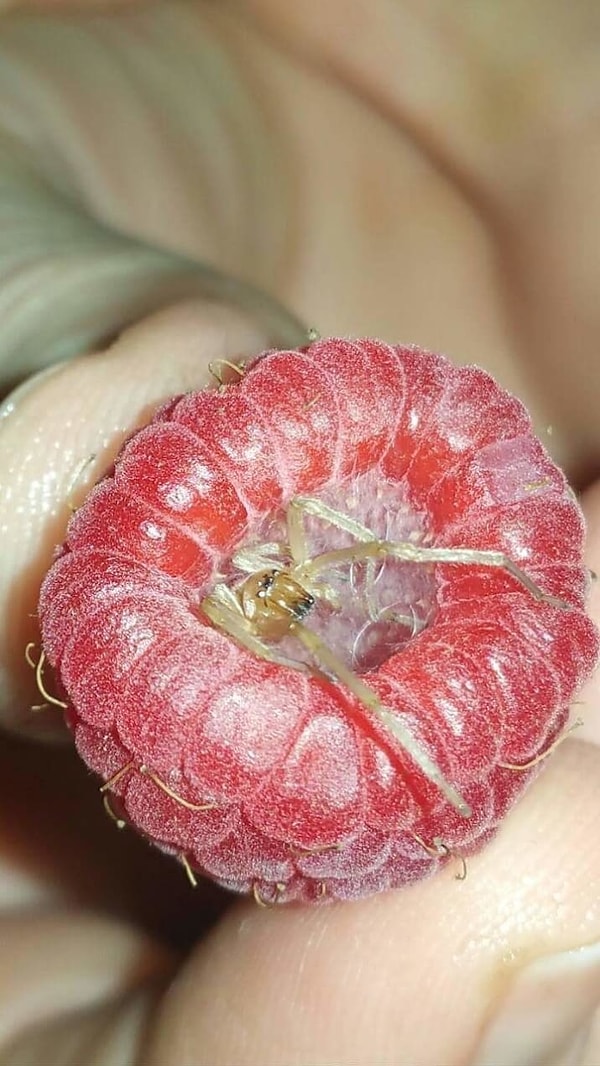 8. Нет, спасибо... Я НЕ голоден!