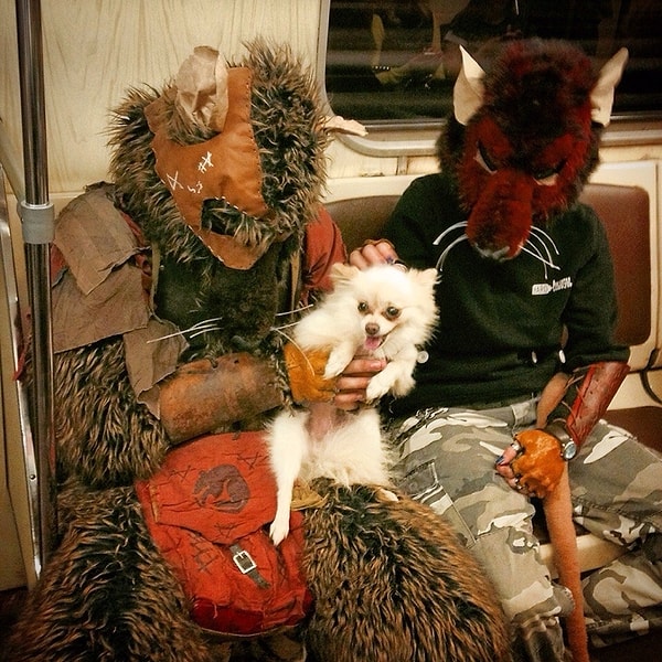 21. Это фото в комментариях явно не нуждается!