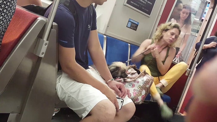 Metroda Köpeğini Dövüp, Isıran Rahatsız Kadın