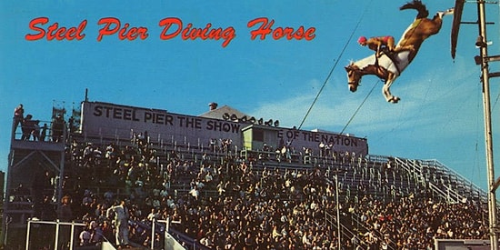 Лошадиный дайвинг: 17 винтажных фотографий забытого спорта