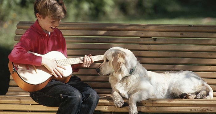 Araştırmalara Göre Köpeklerin En Sevdiği Müzik Türleri Belli Oldu: Rock ve Reggae