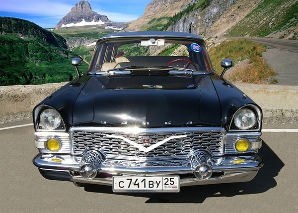 3. А этот экземпляр был запечатлен на расстоянии 9000 км от своего московского собрата - на тихоокеанском побережье России.