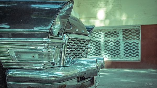 7. Эта "птичка" осела в Узбекистане.