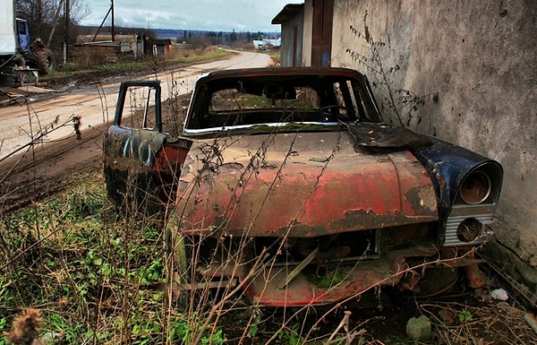 16. Но, к сожалению, не все "птички" такие удачливые.