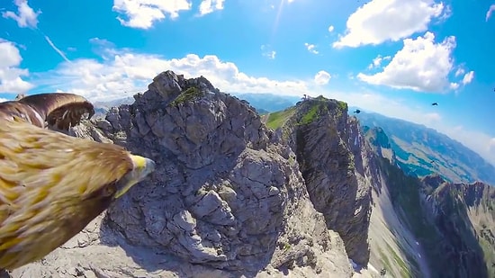 Kartal Gözünden Alplerin Muhteşem Güzelliği