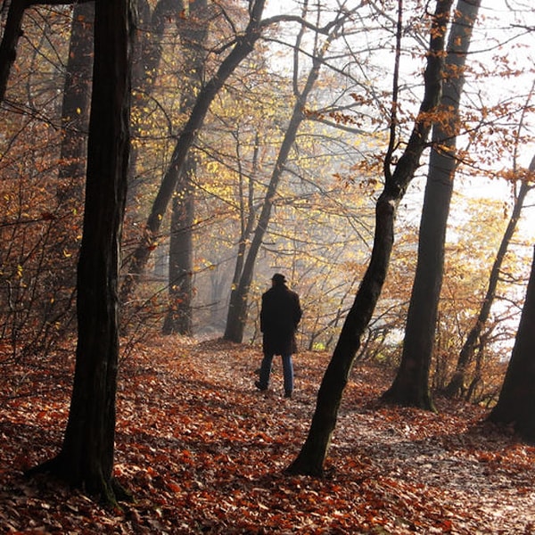 6. Вы можете назвать лучшим другом того, кто...