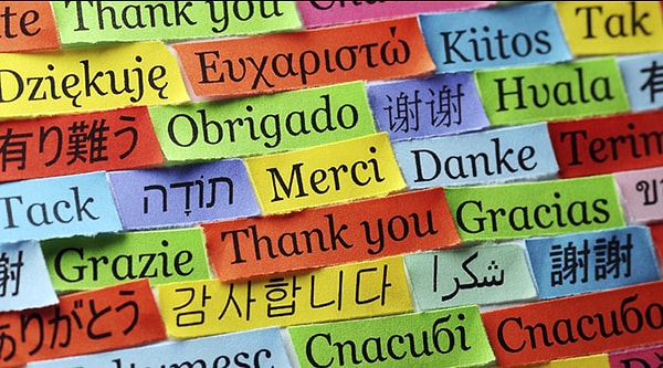 Вы не угадали, но мы продолжаем. Четвертая подсказка: в этой стране есть 2 официальных языка