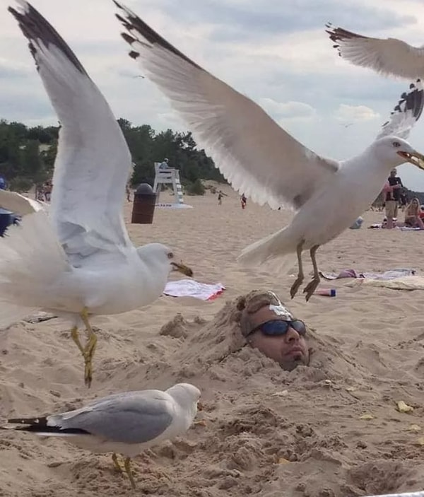 9. Вот и закопали...