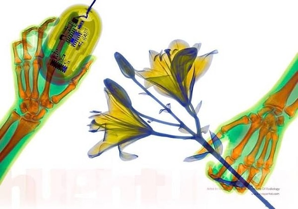 7. Но как потрясно выглядят цветы!