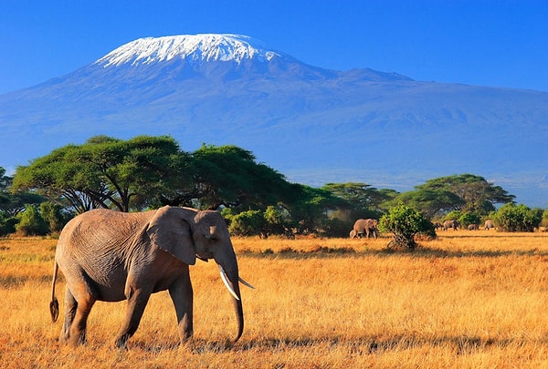 3. Назовите столицу Кении.