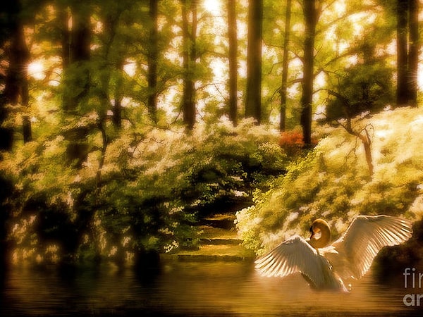 6. И последний вопрос: Если бы вы могли жить в сказочном мире, где бы вы жили?