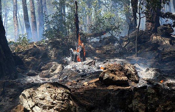 Türkiye'nin ciğerleri olarak bilinen Kaz Dağları'ndaki yangının sosyal medyadaki yansımalarında sabotaj şüphesi ağır bastı...