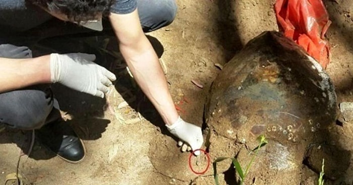 Koruyamadık: İtalya'da Takip Cihazı Takılan Caretta Caretta, Kafasında Bir Darbe ile Sahillerimize Vurdu