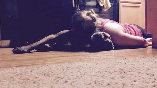 Epilepsi Nöbeti Geçiren İnsan Dostunun Kafası Yere Çarpmasın Diye Çabalayan Köpek
