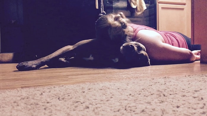 Epilepsi Nöbeti Geçiren İnsan Dostunun Kafası Yere Çarpmasın Diye Çabalayan Köpek