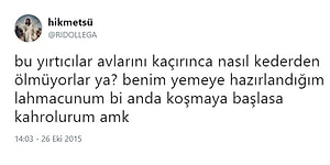 Twitter Mizahının Baş Aktörlerinden Ridollega'nın Keskin Zekasından 15 Komik Tweet