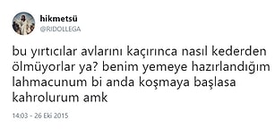 Twitter Mizahının Baş Aktörlerinden Ridollega'nın Keskin Zekasından 15 Komik Tweet