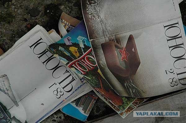 11. По сей день в посёлке живёт лишь только один мужчина с двумя собаками.