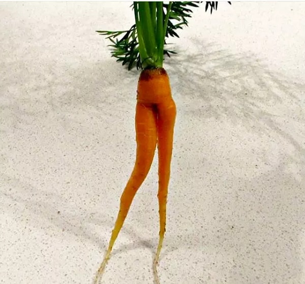 2. "Я не могу съесть эту морковку, потому что у неё есть ножки!"